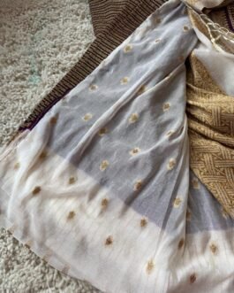 Banaras Khadi Georgette Saree