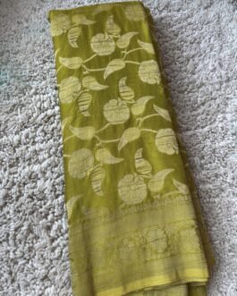 Chinnon Georgette Sarees
